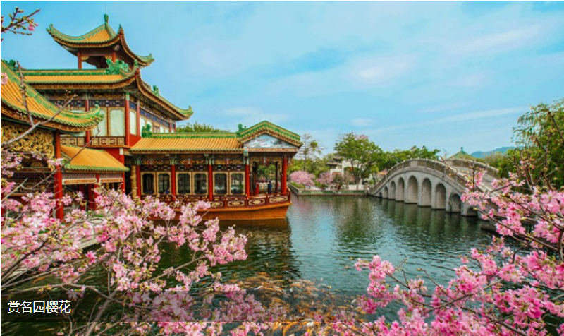 微信图片_20260704113711_476_25.png
