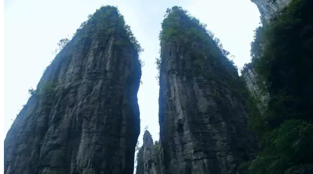 1-1F222160020196.png